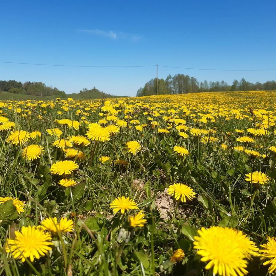 Domek W Kwiatach Zyndaki Buitenkant foto