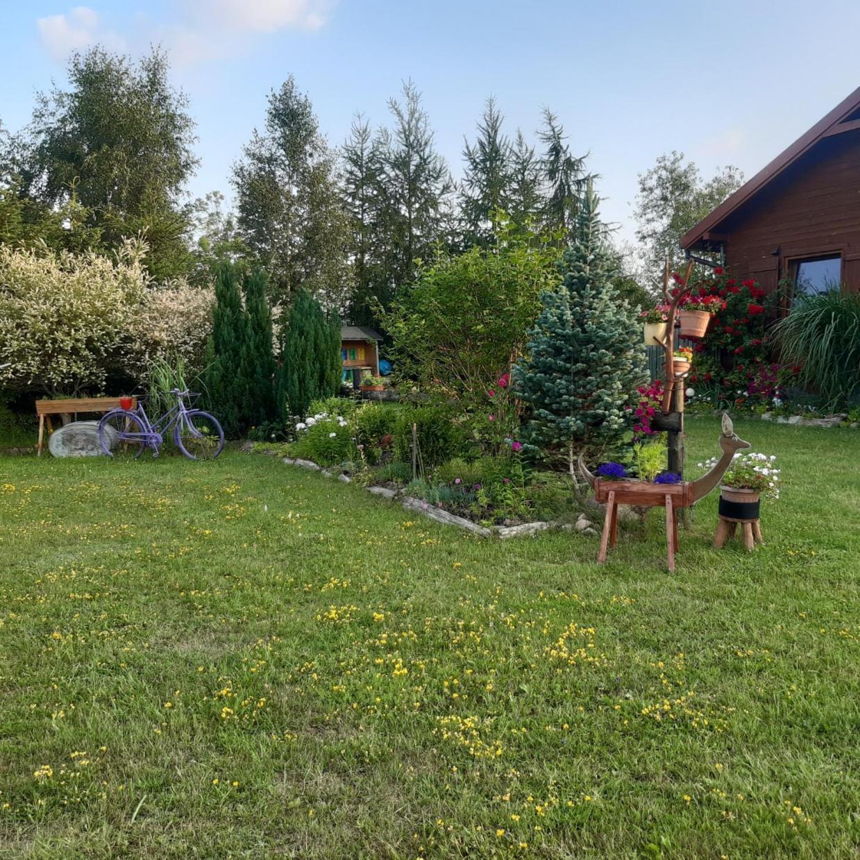 Domek W Kwiatach Zyndaki Buitenkant foto