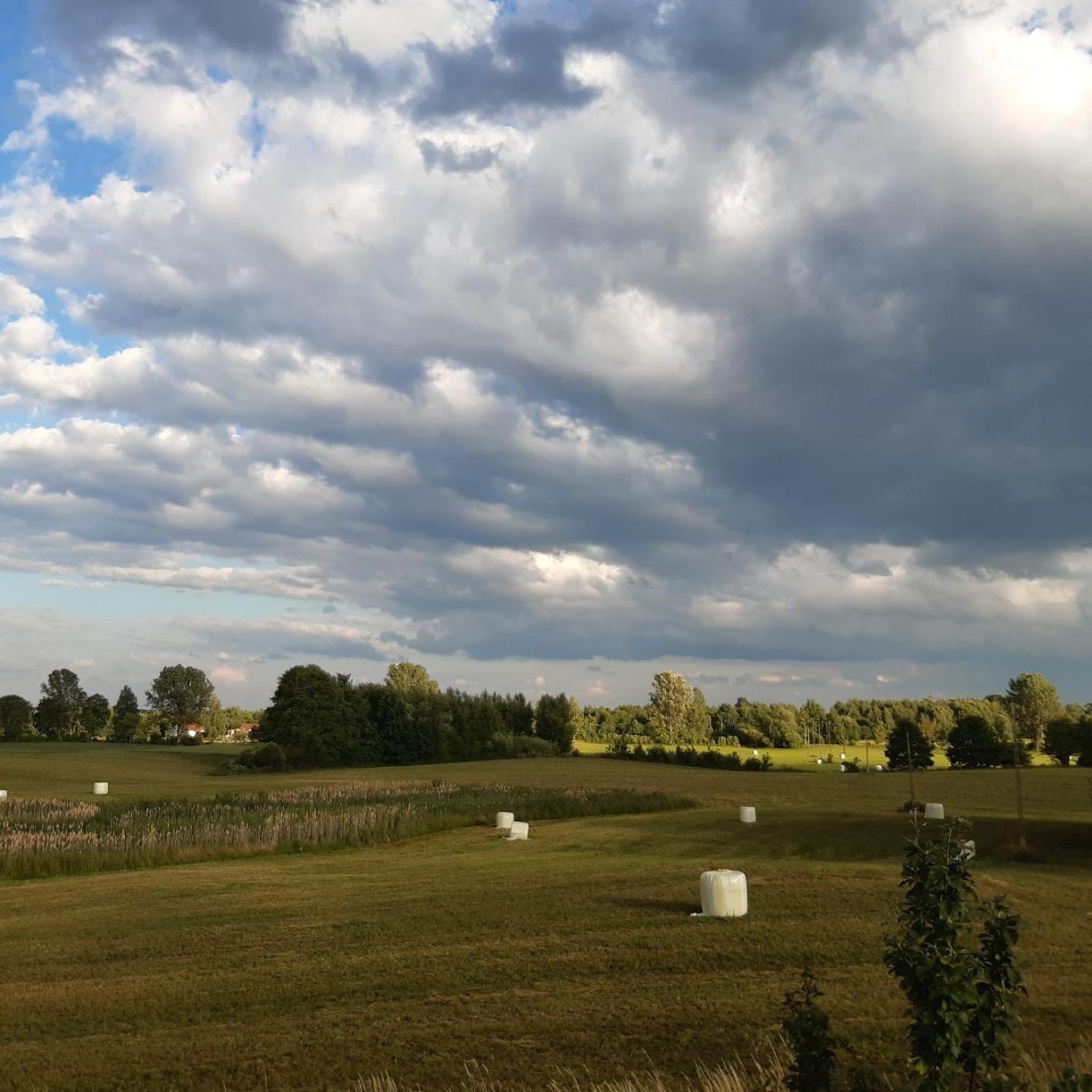 Domek W Kwiatach Zyndaki Buitenkant foto